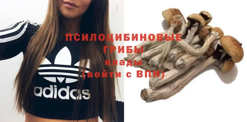 Галлюциногенные грибы Cubensis  OMG ссылки  Верхнеуральск  наркотики 